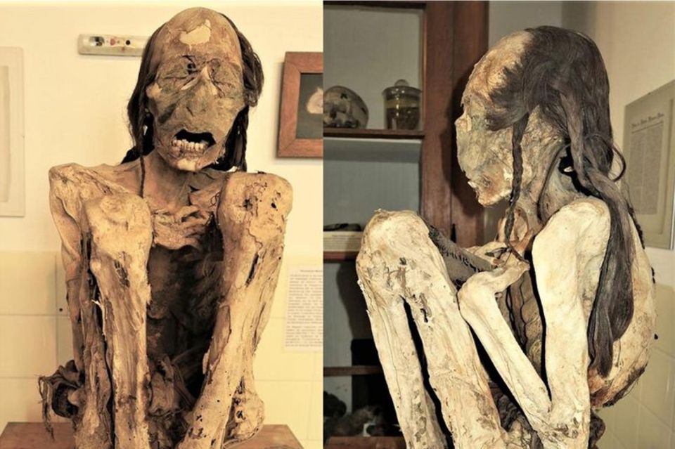 Forscher untersuchten südamerikanische Mumien