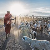 Rift Valley, Massai in Tansania