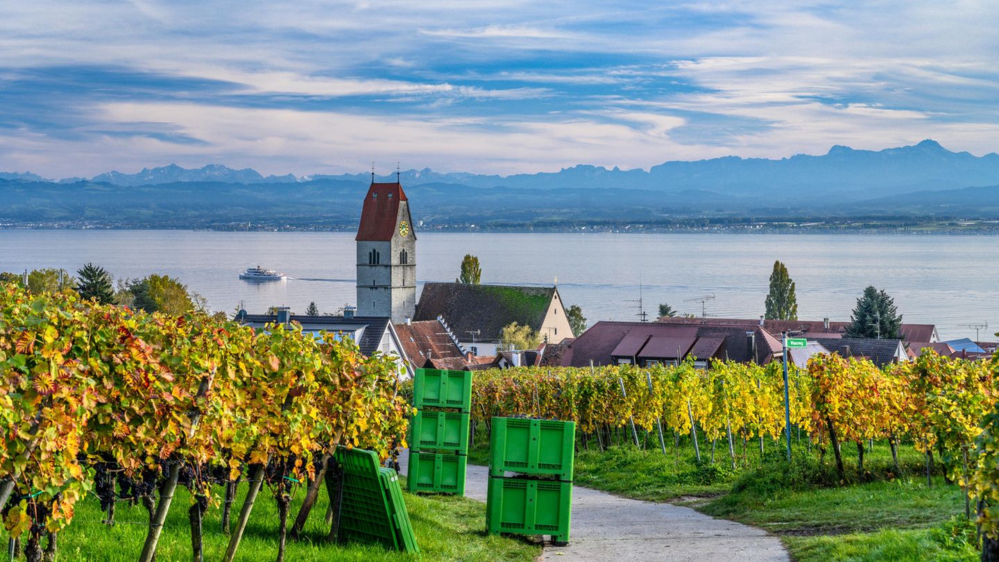 Im Frühherbst ist Erntezeit am Bodensee