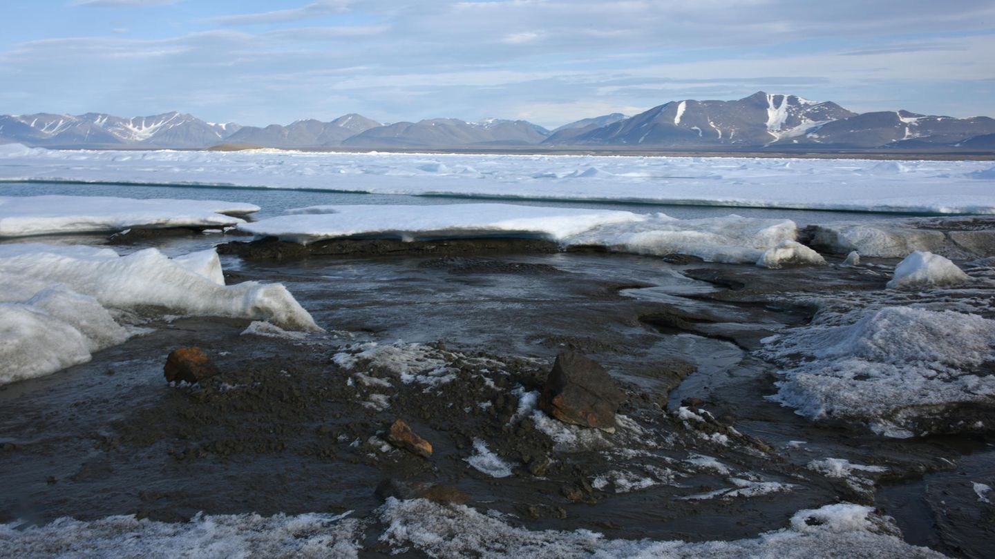 Die vermeintlich nördlichste Insel der Welt ist in Wirklichkeit ein Eisberg. Das haben Wissenschaftler aus Dänemark und der Schweiz herausgefunden, die ein 2021 entdecktes Eiland neben weiteren Inselchen nördlich von Grönland untersucht haben