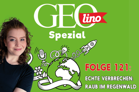 In Folge 121 unseres GEOlino-Podcasts geht es um einen mysteriösen Raub im Regenwald!