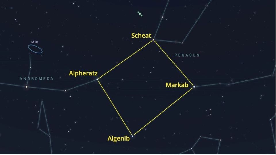 Grafik mit verschiedenen Sternbildern am Nachthimmel. Mittig bilden vier Sterne das Herbstviereck