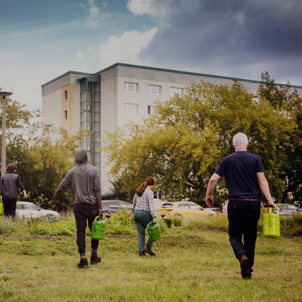 Auf verwilderten Brachflächen zwischen Wohnblocks bauen die Ansässigen im Süden von Dessau ihr Gemüse an. Die Gruppe versorgt sich nicht nur selbst, sondern verkauft Waren an zwei Restaurants und auf einem Biomarkt