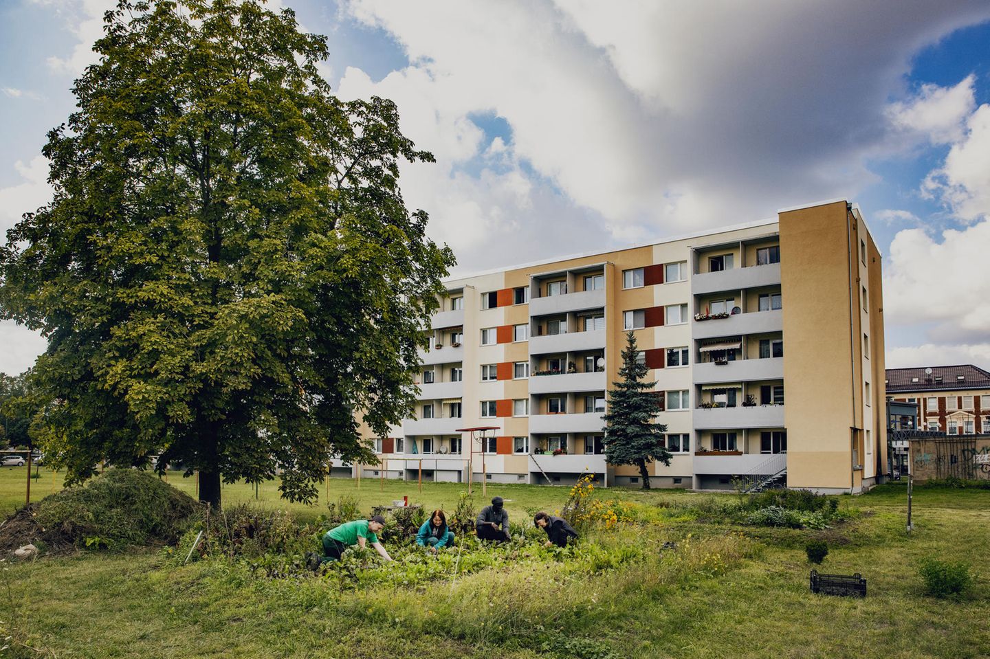 Zwischen Plattenbauten wächst in Dessau ein gemeinschaftlicher Gemüsegarten. Projekte wie dieses bilden sich in immer mehr Städten