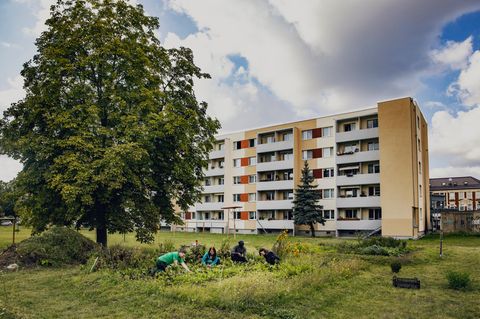 Zwischen Plattenbauten wächst in Dessau ein gemeinschaftlicher Gemüsegarten. Projekte wie dieses bilden sich in immer mehr Städten
