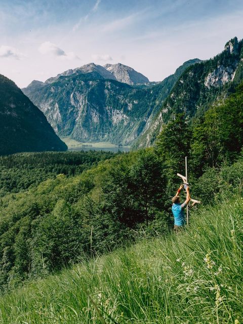 Am Hang oberhalb des Königssees steht eine von mehr als 200 Messstationen, an denen Forschende die Artenvielfalt der Alpen ermitteln
