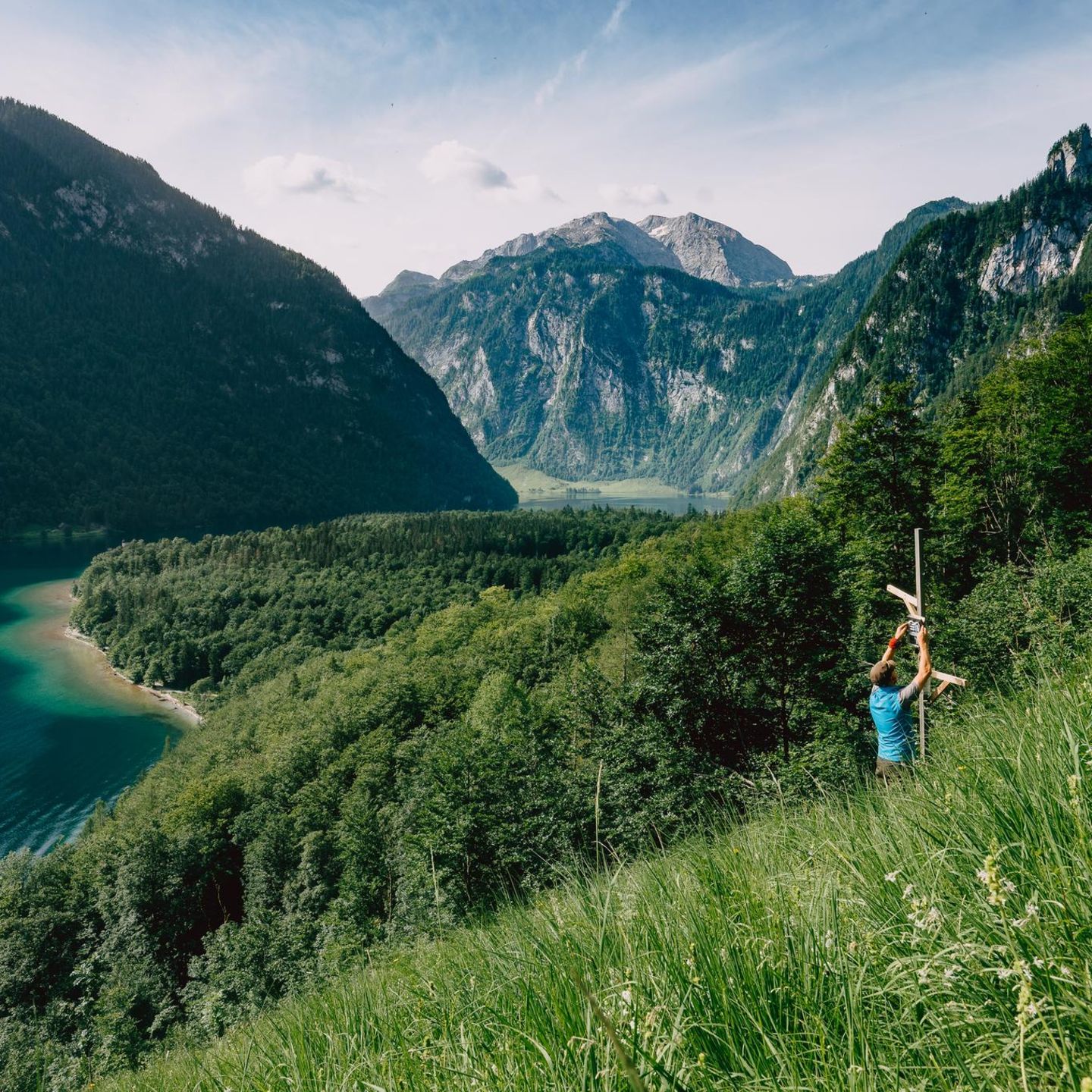 Am Hang oberhalb des Königssees steht eine von mehr als 200 Messstationen, an denen Forschende die Artenvielfalt der Alpen ermitteln