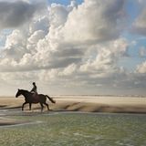 Nationalpark Niedersächsisches Wattenmeer