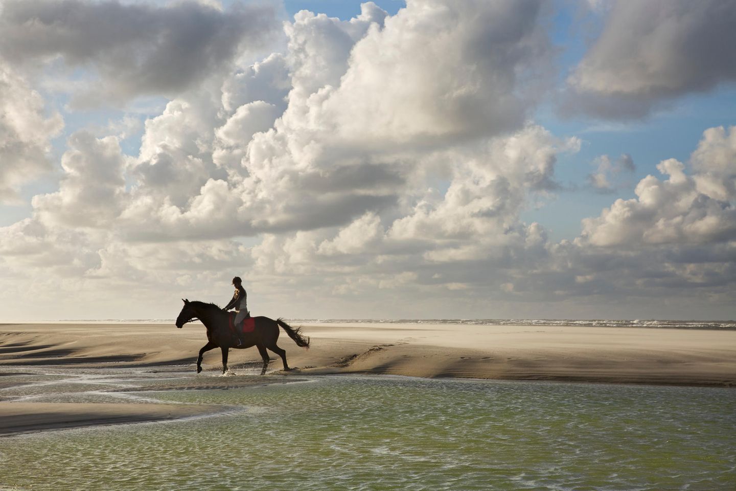 Nationalpark Niedersächsisches Wattenmeer