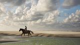 Nationalpark Niedersächsisches Wattenmeer