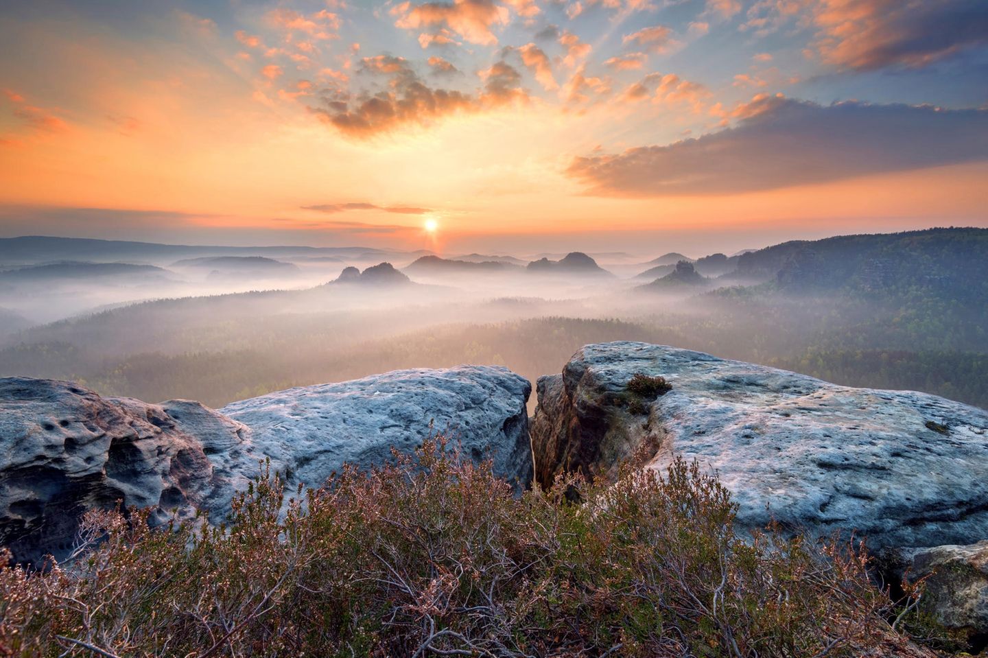 Sonnenaufgang, Nebel, Kleiner Winterberg, Sächsische Schweiz, Mittelgebirge, Deutschland, Europa 