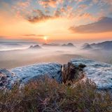 Sonnenaufgang, Nebel, Kleiner Winterberg, Sächsische Schweiz, Mittelgebirge, Deutschland, Europa 