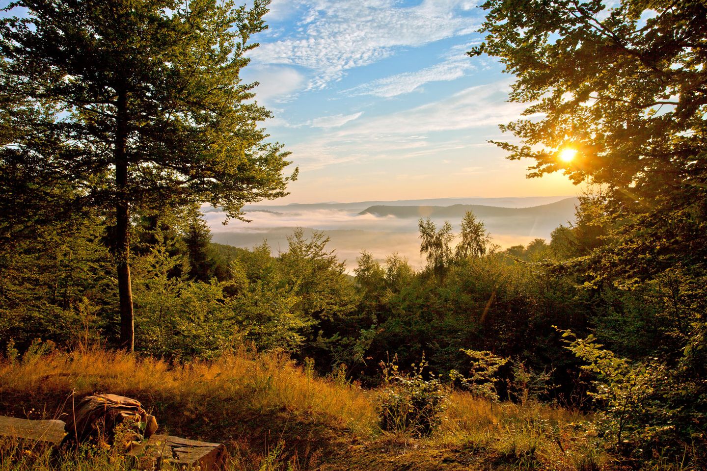 Deutschland, Hessen, Nordhessen, Nationalpark Kellerwald-Edersee, Morgennebel, Sonnenaufgang, Aufstieg zum Traddelkopf, 626m,
