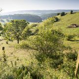 Biosphaerenreservat Bliesgau: Landschaft bei Ballweiler, Saarland