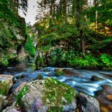 Nationalpark und Naturparke im Schwarzwald