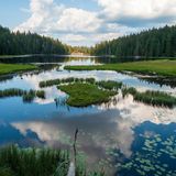 Der Bayerische Wald, Bayern