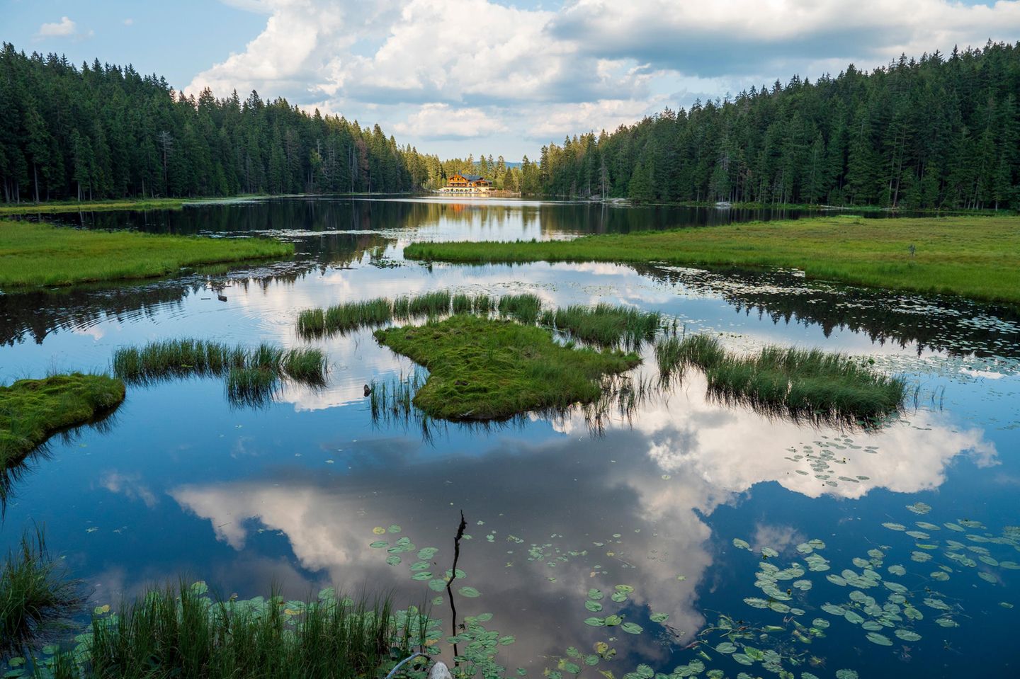 Der Bayerische Wald, Bayern