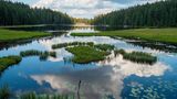 Der Bayerische Wald, Bayern