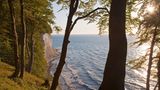 Nationalpark Jasmund auf Rügen