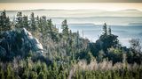 Der Brockenurwald im Nationalpark Harz