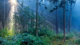 Der Odenwald, Hessen/Bayern/Baden-Württemberg