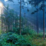 Der Odenwald, Hessen/Bayern/Baden-Württemberg