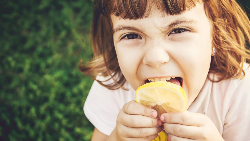 Kleines Mädchen leckt an einer Zitronenscheibe Kleines Mädchen leckt an einer Zitronenscheibe
