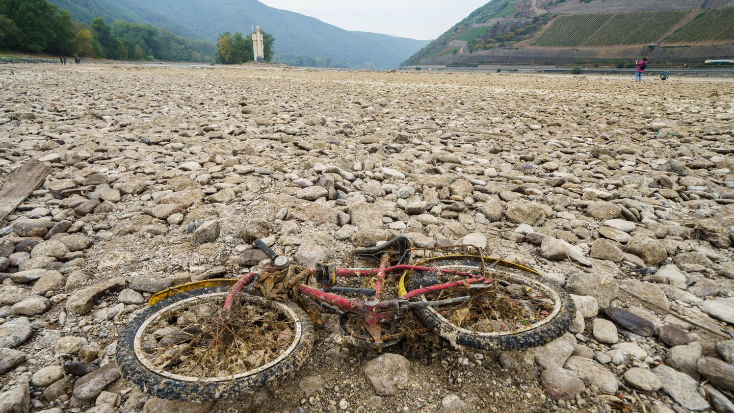 Extreme Trockenheit führte im Sommer 2022 zu einem dramatischen Sinken des Rheinpegels (hier bei Bingen/Rheinland-Pfalz)