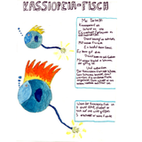 Schicke Frisur? Nein, der Kassiopeia-Fisch von Mado, 11 Jahre, aus Frankreich, hat nur eine Hingucker-Rückenflosse, deren Farbe er wechseln kann. Besser noch: Wenn er sich bedroht fühlt, plustert er sich auf und wirkt größer. So erschreckt er seine Feinde. Stark!