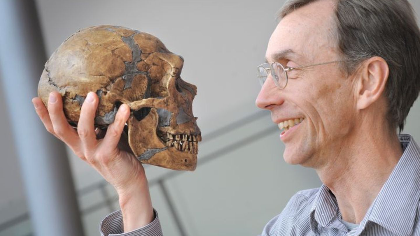 Er hat das Erbgut des Neandertalers entschlüsselt: Svante Pääbo bekommt in diesem Jahr den Medizin-Nobelpreis. Foto: Frank Vinke