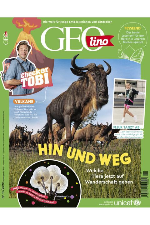GEOlino Magazin: Tiere auf Wanderschaft