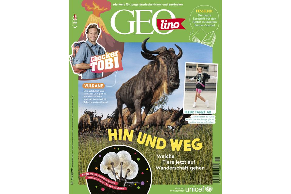 GEOlino Magazin: Tiere auf Wanderschaft