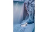 Photographer name: Zhenhuan Zhou     From: Toronto, Canada     Age: 55     Photo title: Frozen     Photo location: Ontario, Canada     Date photo taken: 5 January 2018     Caption: Zhenhuan captured this photo showing parts of Niagara Falls covered in ice.      During spells of cold weather, the mist and spray from Niagara Falls can freeze into ice over the top of the rushing water of the waterfall, giving the appearance that the Falls have frozen whilst the water continues to flow underneath the sheets of ice.      However, there are records that the Falls' waters did stop once in March 1848. Strong winds pushed ice from Lake Erie into the mouth of the Niagara River, blocking the channel completely and stopping the water for about 30 hours. The wind then shifted, and the built-up weight of the water broke through the ice, forcing the Niagara River to flow again.      The photograph offers intricate detail of the icicles that have formed around the building and on the rock face. Icicles are hanging tapering pieces of ice that form when the temperature is below freezing. As water drips off the roof or rock, it freezes and becomes suspended in the shape of a droplet. As more water droplets flow over the surface, they freeze on the way down, and so the process continues until an icicle is formed.      Story behind the photo: Niagara Falls is frozen over.      Media Interviews?     Social media: https://www.facebook.com/ZhouZhenhuan      Camera: Canon EOS 5D Mark IV