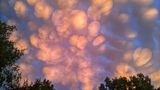 Photographer name: Eris Pil      From: Pittsburgh, Pennsylvania, USA      Age: 16 (DOB: 1 Oct, 2005)      Photo title: Mammatus Sunset     Photo location: Pittsburgh, Pennsylvania, USA      Date photo taken: 16 June 2022      Caption: Eris said, "the sky was completely lit up in a way I had never seen before, like these beautiful backlit watercolour clouds”, displaying these spectacular mammatus clouds overhead.      Mammatus clouds are some of the most unusual and distinctive and are usually associated with large cumulonimbus clouds. They appear as a series of bulges or pouches emerging from the base of the cloud and form in the most unstable cumulonimbus clouds due to turbulence within the cloud.      Mammatus comes from the Latin mamma, which translates to 'udder' or 'breast', and they are more visible when the sun is low in the sky, and the sunlight frames their pouches.      "I love mammatus clouds; this was my first time ever witnessing them. I hope I have the opportunity to see them again, and I'm excited to share what they look like with others".          Story behind the photo: I had just gotten out of the shower, expecting it to be almost dusk, and noticed it was unusually bright and shining through the curtains. I went outside, and the sky was completely lit up in a way I had never seen before, like these beautiful backlit watercolor clouds. It completely brightened my day, although it was night. I love Mammatus clouds; this was my first time ever witnessing them. I hope I have the opportunity to see them again, and I'm excited to share what they look like with others.      Media interviews: Yes      Social media:               Camera: Pixel 3 Phone
