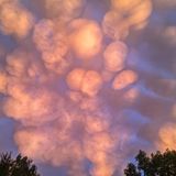 Photographer name: Eris Pil      From: Pittsburgh, Pennsylvania, USA      Age: 16 (DOB: 1 Oct, 2005)      Photo title: Mammatus Sunset     Photo location: Pittsburgh, Pennsylvania, USA      Date photo taken: 16 June 2022      Caption: Eris said, "the sky was completely lit up in a way I had never seen before, like these beautiful backlit watercolour clouds”, displaying these spectacular mammatus clouds overhead.      Mammatus clouds are some of the most unusual and distinctive and are usually associated with large cumulonimbus clouds. They appear as a series of bulges or pouches emerging from the base of the cloud and form in the most unstable cumulonimbus clouds due to turbulence within the cloud.      Mammatus comes from the Latin mamma, which translates to 'udder' or 'breast', and they are more visible when the sun is low in the sky, and the sunlight frames their pouches.      "I love mammatus clouds; this was my first time ever witnessing them. I hope I have the opportunity to see them again, and I'm excited to share what they look like with others".          Story behind the photo: I had just gotten out of the shower, expecting it to be almost dusk, and noticed it was unusually bright and shining through the curtains. I went outside, and the sky was completely lit up in a way I had never seen before, like these beautiful backlit watercolor clouds. It completely brightened my day, although it was night. I love Mammatus clouds; this was my first time ever witnessing them. I hope I have the opportunity to see them again, and I'm excited to share what they look like with others.      Media interviews: Yes      Social media:               Camera: Pixel 3 Phone