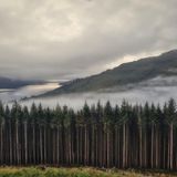 Photographer name: Vince Campbell      From: Penrith, United Kingdom      Age: 60      Photo title: Scotch Mist     Photo location: Tarbet, Loch Lomond, Scotland      Date photo taken: 15 September 2021      Caption: An overnight stop in Tarbet, Loch Lomond in Scotland, and an early morning trek with dogs Oscar and Ollie up Cruach Tairbeirt revealed this beautiful misty scene to Vince. "The woods, the alps, the loch and Ben Lomond were bathed in 'Scotch mist'. This shot was taken just before the sun put in an appearance".      Mist, like fog, is a low cloud or small water droplets suspended in the air, close to the ground. The relative humidity in mist and fog is more than 95%, but the difference between the two phenomena is all down to visibility. If you can see more than 1,000 metres, it is called mist, but if it is thicker and the visibility drops below 1,000 metres, it is called fog.      Mist is typically dissipated quicker than fog and can rapidly disappear with even a light wind.      Story behind the photo: An overnight stop in Tarbet, Loch Lomond and an early morning trek with the dogs up Cruach Tairbert revealed this beautiful misty scene.      I'm a keen hobby/amateur photographer living in the north lakes, Penrith. My surroundings range from the North Pennines, Eden Valley and Ullswater lake, all are within an easy 20 minute drive. I've recently retired, we got two border collies and a half decent camera to capture the lovely surroundings. When I remember I'll take some pics with the phone, mainly for the benefit of the family whatsapp group, a little piece of home as both kids are away at university.       I've always had a keen interest in photography but never made the time to take things further, work and family commitments I suppose. Today with digital advances everyone has a good quality camera in their pocket.       My submission, "Scotch Mist" is an example of the dogs (Oscar & Ollie) and my inquisitive nature. Whilst doing a motorhome stopover at a wonderful restaurant, Slanj on the A83. We embarked upon an evening trek up the hills behind the railway station, it revealed some interesting misty views towards the "Arrochar Alps" Another trek in the morning was equally rewarding, surrounded with mist, the mood and atmosphere constantly changed. The woods, the alps, the loch and Ben Lomond were bathed in "Scotch Mist", this shot was taken just before the sun put in an appearance.       Media interviews: Yes      Social media: @vinco_camm.photos      Camera: Samsung SM-J530f 3.71mm f1.7 1/250 sec iso 40
