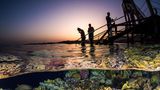 Perfekt kombiniert Brook Peterson in seiner Split-Aufnahme das letzte Leuchten der Sonne mit den angeblitzten Riff, während die Schnorchler sich als Silhouette vor dem Himmel abheben. Der Fotograf wird Finalist in der Kategorie "Human Connection Award: People & Planet Ocean".
