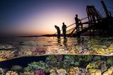 Perfekt kombiniert Brook Peterson in seiner Split-Aufnahme das letzte Leuchten der Sonne mit den angeblitzten Riff, während die Schnorchler sich als Silhouette vor dem Himmel abheben. Der Fotograf wird Finalist in der Kategorie "Human Connection Award: People & Planet Ocean".