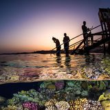 Perfekt kombiniert Brook Peterson in seiner Split-Aufnahme das letzte Leuchten der Sonne mit den angeblitzten Riff, während die Schnorchler sich als Silhouette vor dem Himmel abheben. Der Fotograf wird Finalist in der Kategorie "Human Connection Award: People & Planet Ocean".