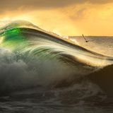 Im goldenen Licht der aufgehende Sonne ergießt sich malerisch eine Welle, während eine Möwe gen Horizont fliegt. Gergo Rugli wird Finalist in der Kategorie "Fine Art Photographer of the Year".