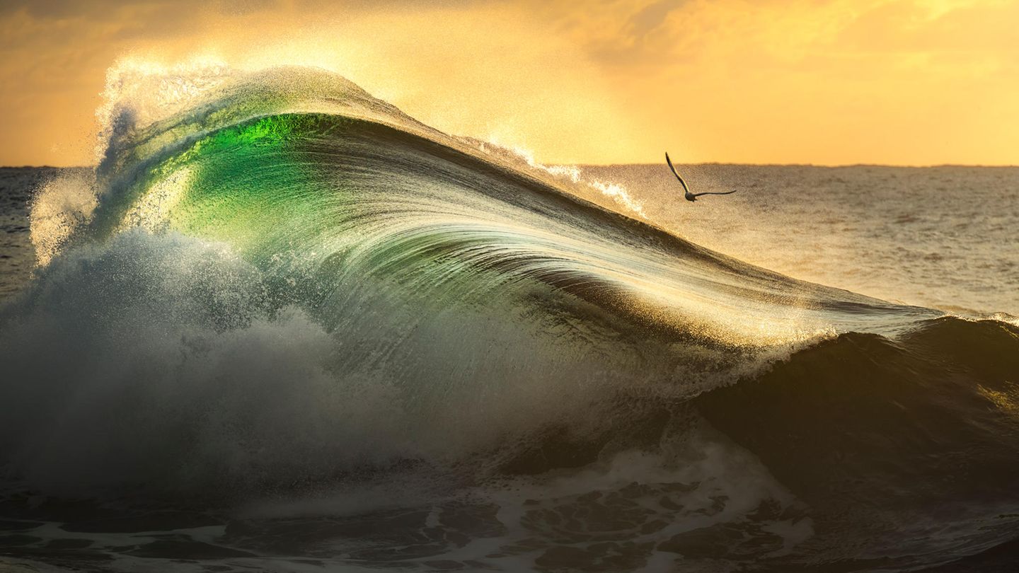 Im goldenen Licht der aufgehende Sonne ergießt sich malerisch eine Welle, während eine Möwe gen Horizont fliegt. Gergo Rugli wird Finalist in der Kategorie "Fine Art Photographer of the Year".
