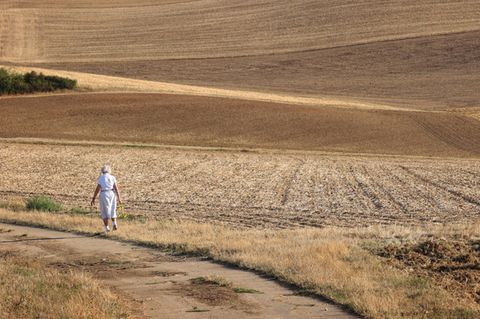 Eine Frau geht zwischen trockenen Feldern