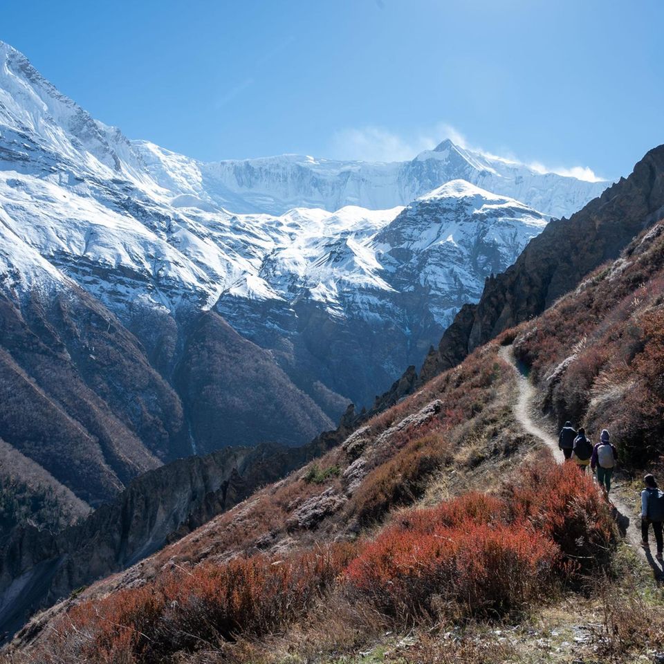 Eine Gruppe Wanderer auf dem Weg zum Tichilo Lake Basecamp