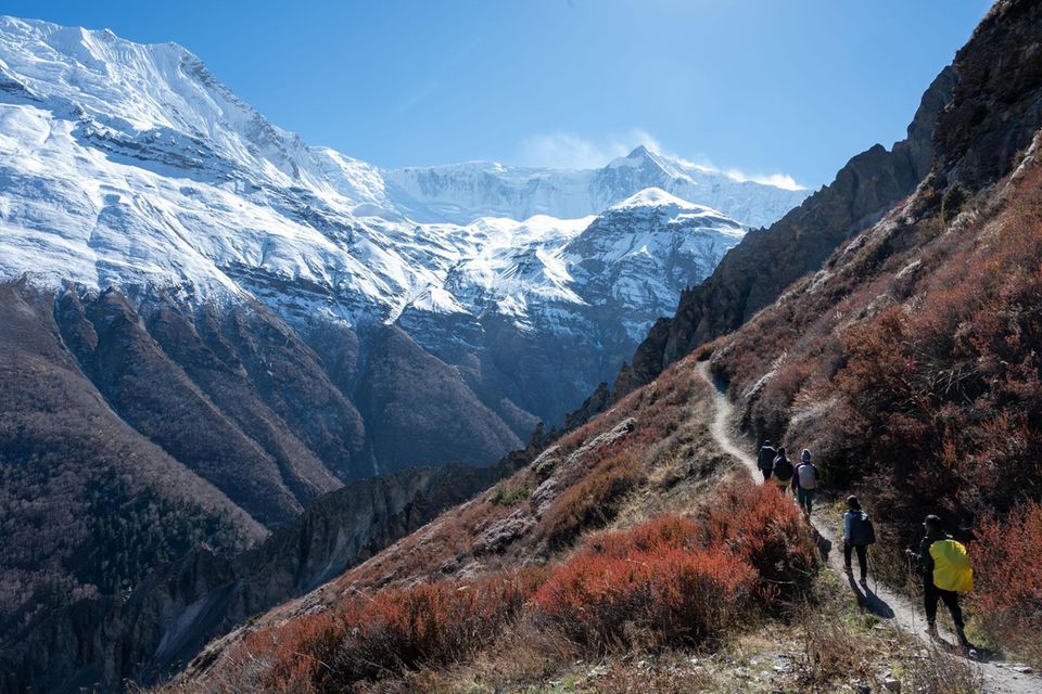 Eine Gruppe Wanderer auf dem Weg zum Tichilo Lake Basecamp 1.5015