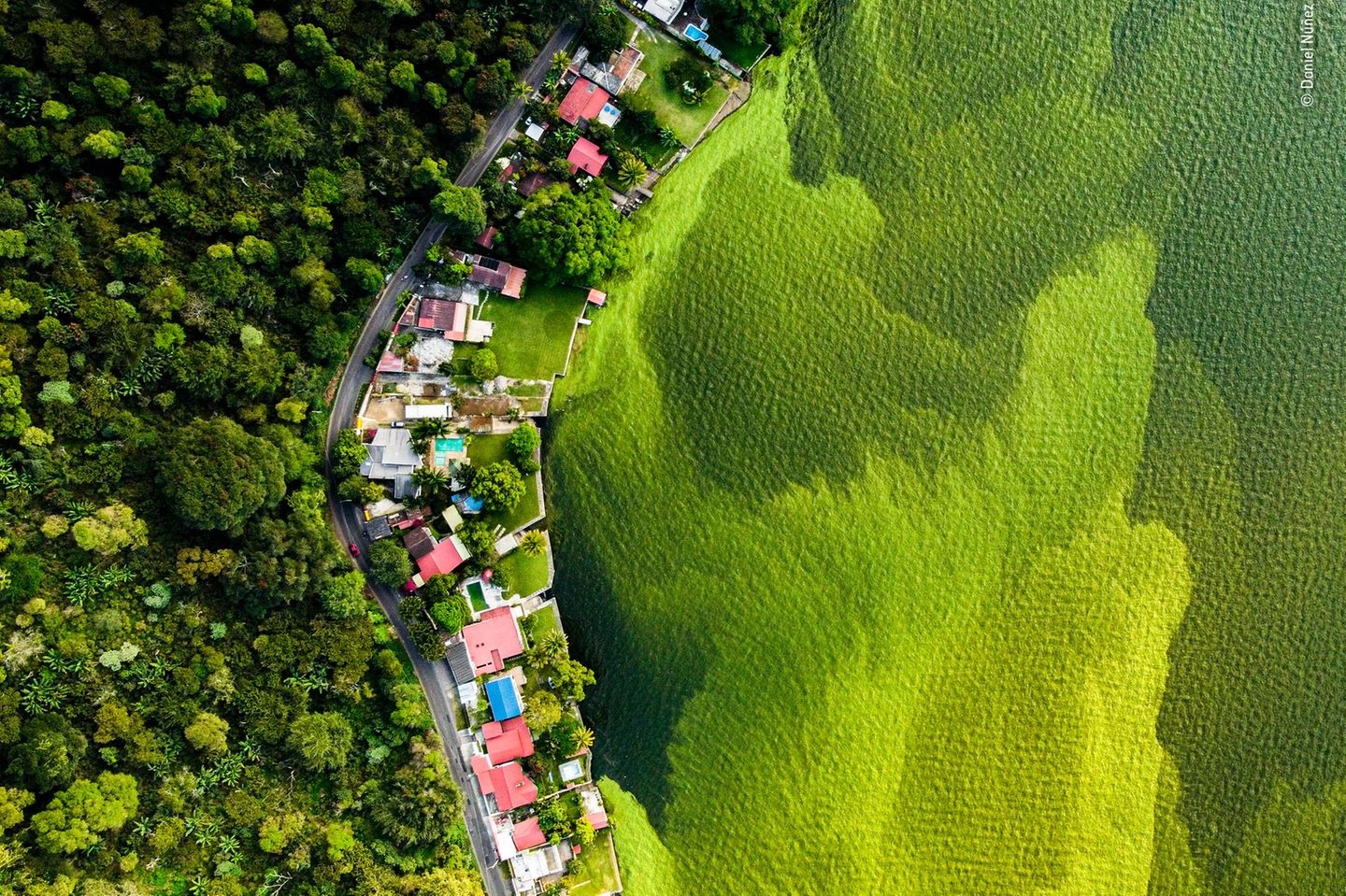 Was hübsch aussieht, hat einen traurigen Grund: Rund 75.000 Tonnen Abfall landen jedes Jahr im Amatitlán-See in Guatemala und sorgen dafür, dass Algen im Wasser gedeihen.