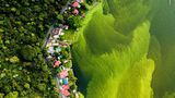 Was hübsch aussieht, hat einen traurigen Grund: Rund 75.000 Tonnen Abfall landen jedes Jahr im Amatitlán-See in Guatemala und sorgen dafür, dass Algen im Wasser gedeihen.