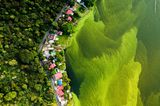 Was hübsch aussieht, hat einen traurigen Grund: Rund 75.000 Tonnen Abfall landen jedes Jahr im Amatitlán-See in Guatemala und sorgen dafür, dass Algen im Wasser gedeihen.
