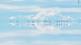 Junji Takasago – Gewinner Natural Artistry