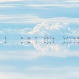 Junji Takasago – Gewinner Natural Artistry