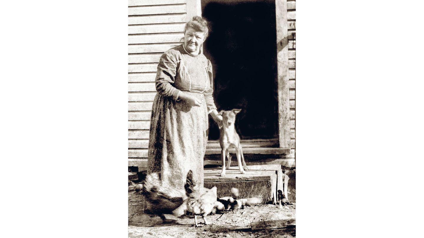 Gut erzogen – Nevada, um 1915 Gut erzogen – Nevada, um 1915
